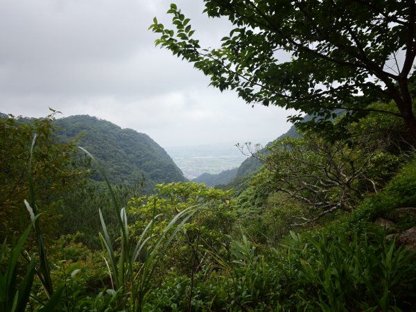 [淡蘭古道] 2026_0524 南路第五段_跑馬古道(下)-玉龍居3070177