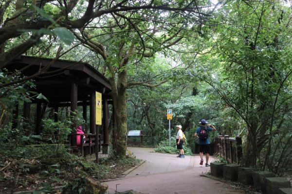 〔陽明山 〕面天山 向天山 向天池 二子坪步道。火山口湖 獨特生物蚌蟲 向天蝦（豐年蝦）2235363