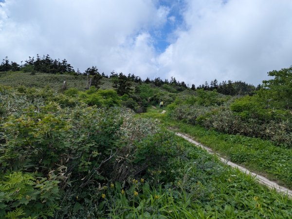 20260703 秋田森吉山3081926