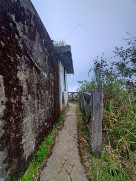 阿里山大塔山899534