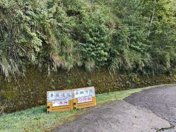 [玉山尋寶任務-04/12] 2025_0823 玉山前峰登山山徑2869397