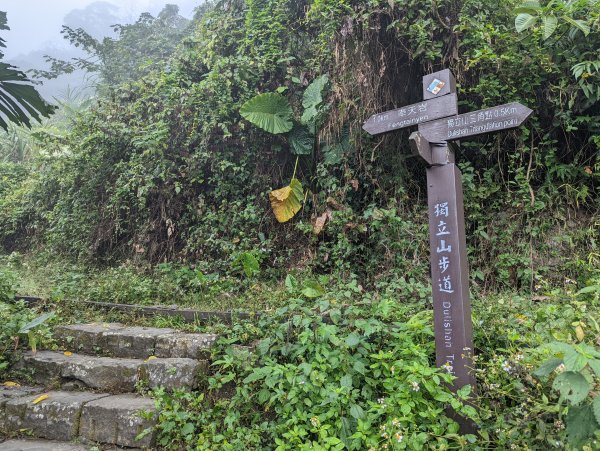 雲海、鐵道、竹林、茶園@景觀變化多且視野展望佳的雲嘉七連峰1559367