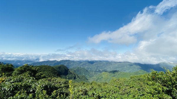 東眼山國家森林遊樂區-仙氣滿滿下午茶1201716