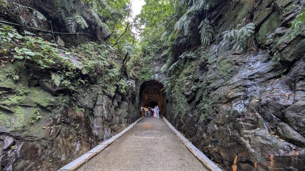 114.12.20劉銘傳隧道-獅球嶺北峰-獅球嶺東砲台山-獅球嶺池-獅球嶺砲台山之旅2966683