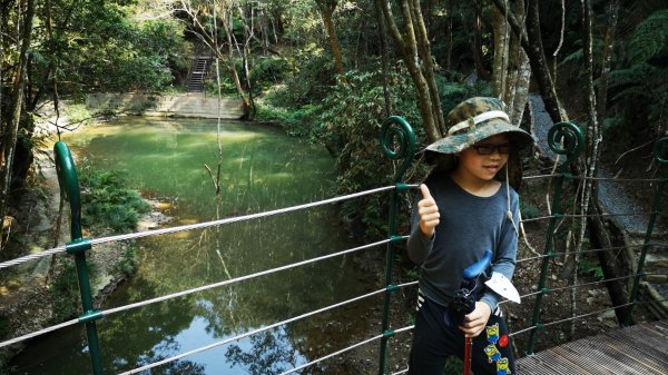 南投魚池澀水森林步道1631412