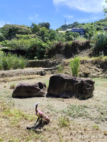 【臺北大縱走 7】2-1 樟山寺→樟樹步道→彩雲亭→相思炭窯→貓纜貓空站→指南路三段40巷2881799