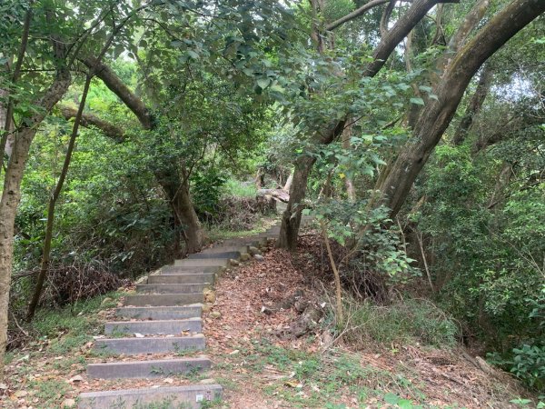九九峰森林步道2769003