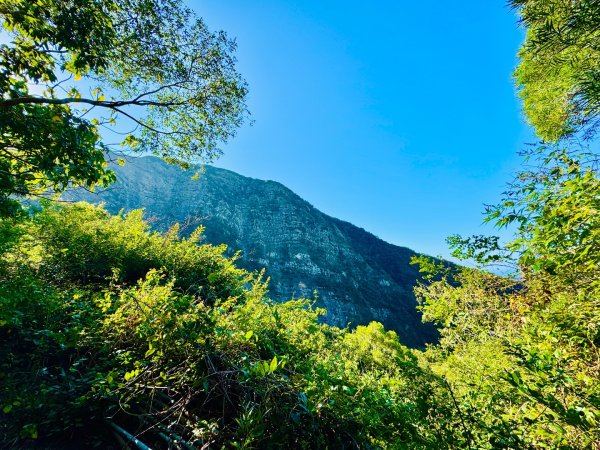楓港紫竹林龍峰寺起登 里龍山(小百岳#80)來回2964447