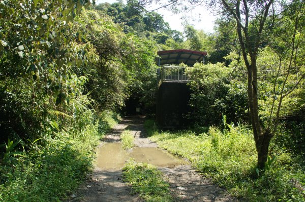 牡丹、燦光寮古道、九份1095913