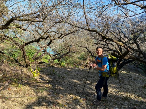 刣牛湖山.烏山縱走【縱走路線的第一把交椅】1595365