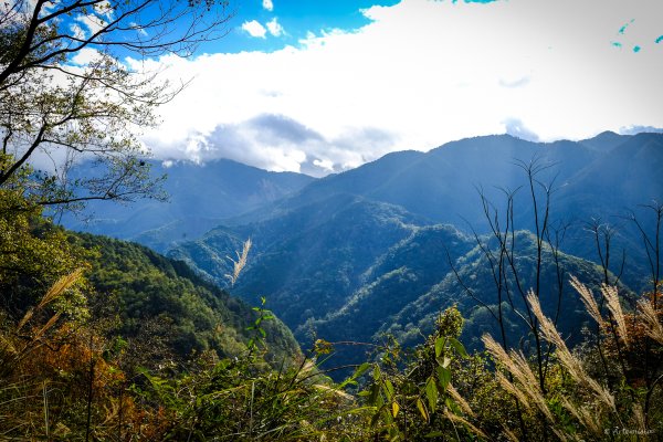 [冬訪大霸聖山岳參行]-大鹿林道東線榆金楓紅與九九山莊精選輯2974714