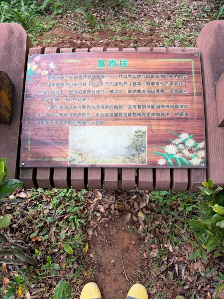 新北 林口 國際AI智慧園區-工一森林小徑-雪花步道-祖師巖登山步道-湖內公園3019097