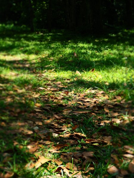 《宜蘭》植物博物館｜員山福山植物園201805182889181