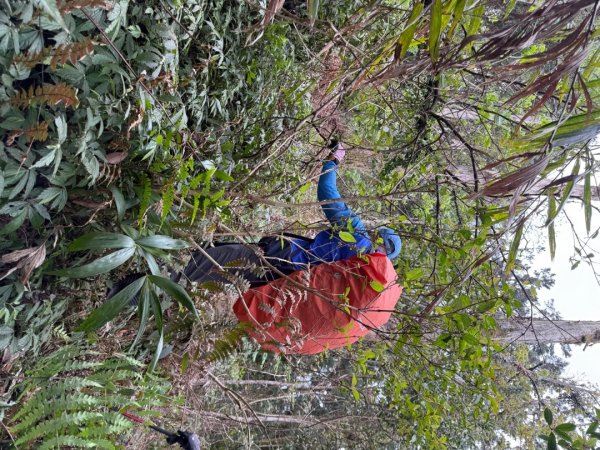 桂山路197巷 》呂奔山北峰 》呂奔山 》阿玉壩2755807