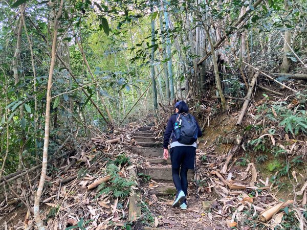 後尖山步道2683565