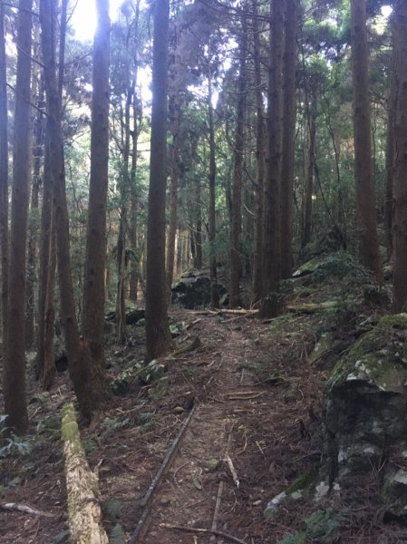 加里山前山、鐵道遺跡、索道、香菇寮2052734