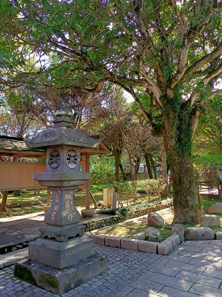 桃園大溪石門水庫楓林步道、齋明寺古道【南山神壽任務】1963978