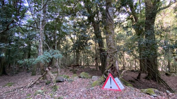 楠梓仙溪上南玉山1373106