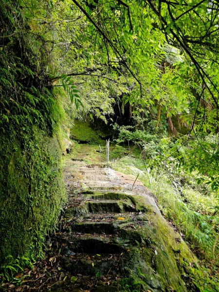 (五分山系)平溪小黃山-2025微笑山線大縱走尋寶集章任務2855293