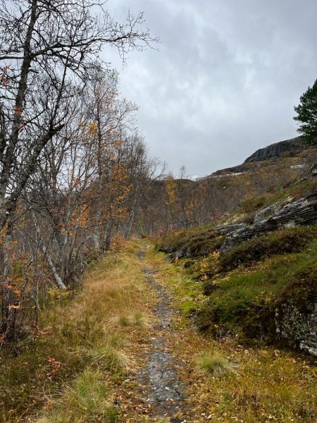 Norway-Myrdal-VATNAHALSEN HOTEL-湖邊健行2917777