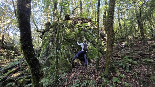 東北季風起遊走雲瀑和山毛櫸間的啦卡山與北插天山登山行2951100