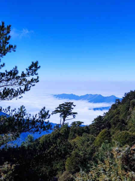 南橫三星2709348