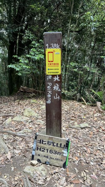 大板根+北坑山+東洗水山2551673