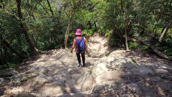 (姨婆趴趴走)第四十三集:攀登連走奇岩山、軍艦岩、丹鳳山2499545