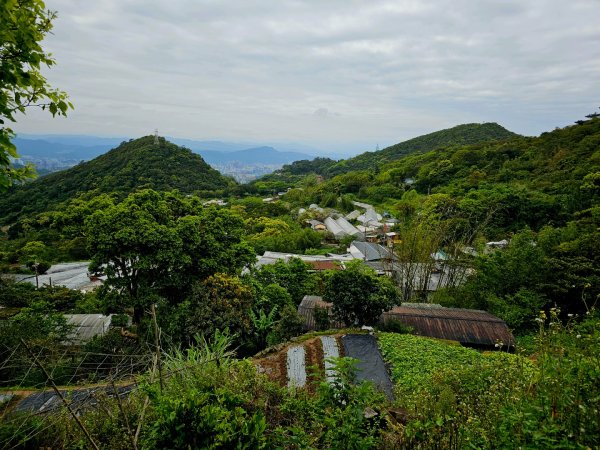 2025年臺北大縱走第四段：風櫃口至中華科大2755995