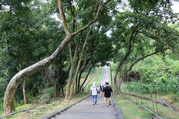 雙腳走一遭的特色建築~原台南水道淨水地區893023