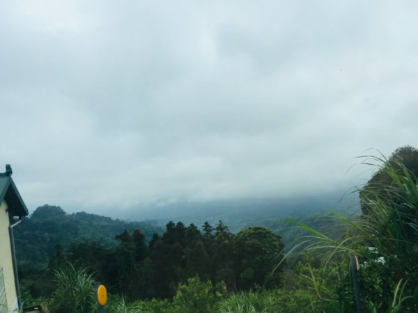 瓏美麗一週一步道（馬那邦山）558293