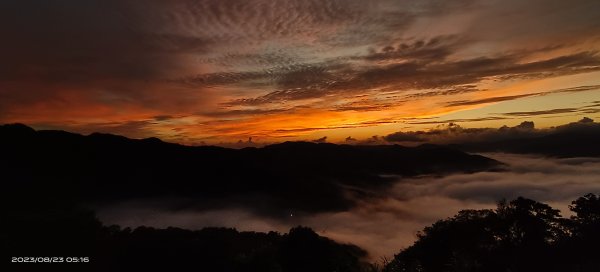 獵狸尖星空雲海&慈瑤宮火燒雲朝霞日出雲海2259546