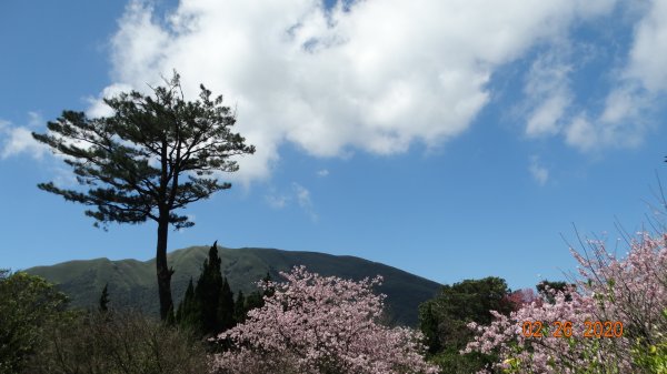 仙境?!雲霧繚繞! 2020/4th雲瀑853525