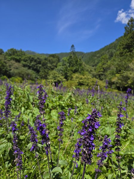 20250810 一日單攻桃山2919366