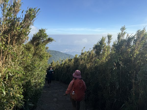 二子坪步道 經遊憩區 上面天山 202511082935055