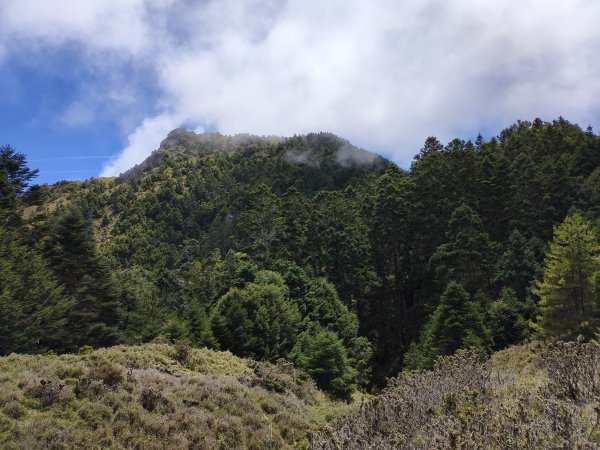 北一段(10/14)馬比杉山 2025_0906~132887137