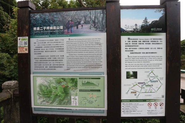 陽明山  菜公坑山 反經石   水車寮步道。林木蓊鬱  豐富的蕨類植披，絕佳避暑古道2174013