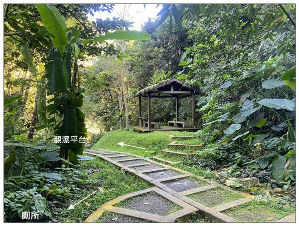 鳳凰谷鳥園步道2695899