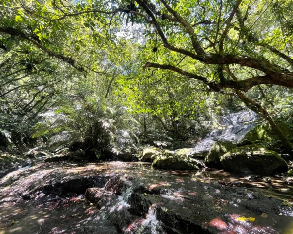 坪林-碧湖溪-蛋糕瀑布群（溯溪）2820903