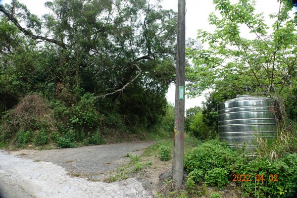 臺南 新化 大坑尾山1663944