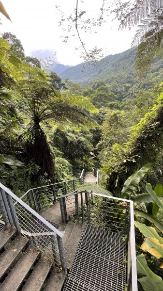 涼意滿滿的〔烏來〕福山部落古圳道消暑趣1777007