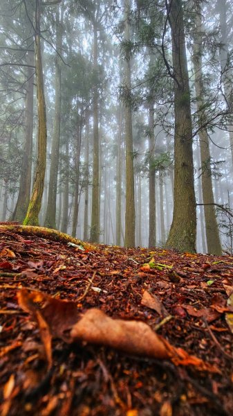 112.04.08 油羅山2123592