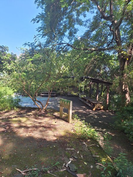 田中森林登山步道＋茶香步道＋赤水崎公園步道202508172862068