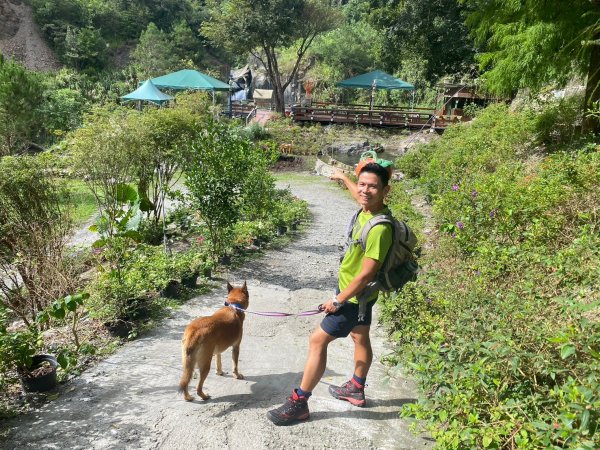 南東眼山.夢谷瀑布【好像是中級山探勘路線的荒山野嶺】2630620