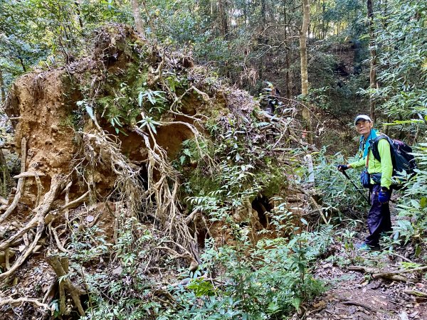 加里山縱走虎山    2021/12/41539170