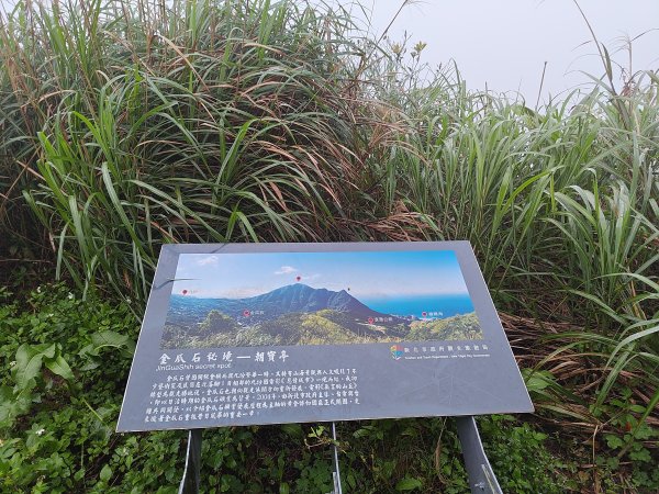 20260327茶壺山3024508