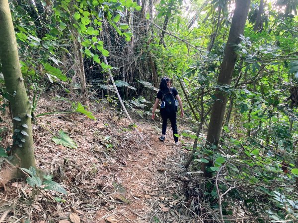 紅毛埤山(蘭潭後山步道)2653304