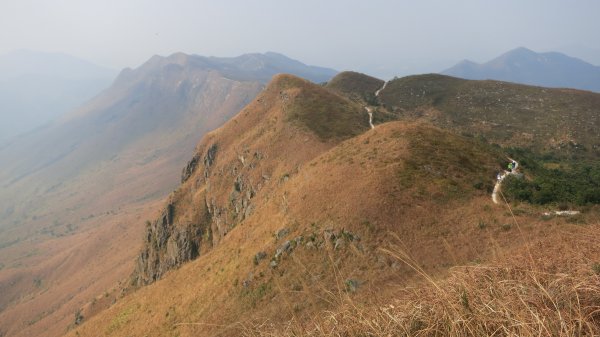 香港山系 － 九龍 • 新界934538