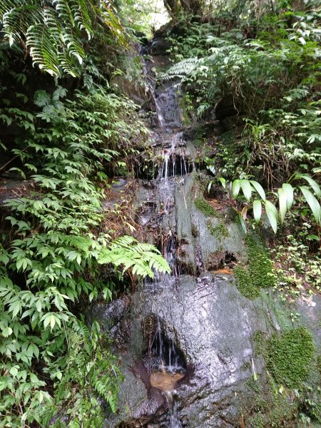 泰安瀑布-姜子寮山步道821750
