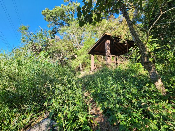 20241013東南稜上東卯山2670977